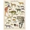 Image de Puzzle 500 pièces : Muséum national d'Histoire naturelle : Les félins
