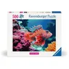 Image de 500p Highlight Poisson-lion