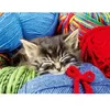 Image de Puzzle 100 pièces : Chaton dans la laine