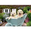 Image de Puzzle 200 pièces : Golden Retriever