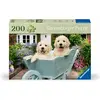 Image de Ravensburger Puzzle 12001368 - Golden Retriever - Puzzle pour les personnes âgées et les seniors, avec 200 (200 pièces)