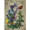 Image de Puzzle - RAVENSBURGER - Le cycle de vie du papillon - 1000 pièces - Multicolore - À partir de 14 ans