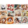 Image de Puzzle 1500 pièces : Photo animaux mignons