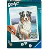 Image de Ravensburger CreArt - peinture par numéros - Berger Australien