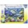 Image de Puzzle 100 Pièces : Pièces XXL - Requin, Ravensburger