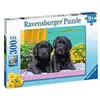 Image de Ravensburger - Puzzle 300 pièces XXL - Labradors noirs