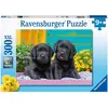 Image de Ravensburger Labradors noirs (300 pièces)