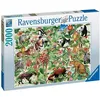 Image de Puzzle 2000 pièces Ravensburger Jungle