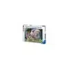 Image de Puzzle 3000 pieces - Loups au clair de lune - Ravensburger - Puzzle adultes - Des 14 ans