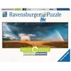 Image de Puzzle Adulte panoramique - Arc en ciel mystique - Nature edition 1000 p