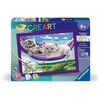 Image de CreArt Kids 18x24cm Chatons dans le hamac, Kit de peinture par numéros Numéro d'Art, Des 9 ans, 25828,