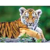 Image de Puzzle 150 pièces : Bébé Tigre Nathan