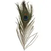 Image de Rayher, Matériaux naturels, Plume de paon 3 pcs.