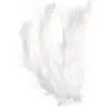Image de Rayher Velcro plume, blanc, 15 pièces
