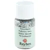 Image de Fils argent brillant - Hologramme - 0,3x1,65mm - PET - 10 ml
