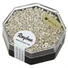 Image de Perles Miyuki - 11/0 - Métal argent