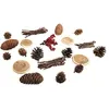 Image de Décorations naturelles automne et Noël - 20 Cônes, bois et baies