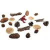 Image de Rayher, Matériaux naturels, Articles de décoration multicolores Mix avec cônes 20 pcs.