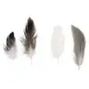 Image de Rayher Mélange de plumes, 10 g