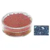 Image de Rocailles 2mm avec garniture argent - Bleu foncé