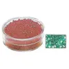 Image de Rocailles 2mm avec garniture argent - Jade