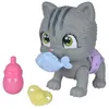 Image de Chouchouter le chat Petz