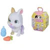 Image de Chouchouter le lapin Petz