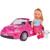 Image de Simba Evi's Beetle
