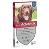 Image de ADVANTIX 4 pipettes antiparasitaires - Pour grand chien de plus de 25kg