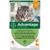 Image de ADVANTAGE Anti-Puces pour Chats - Moins de 4kg