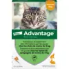 Image de Advantage Chat et Lapin 1 à 4 kg