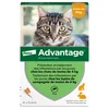 Image de 4 pipettes Ad-vantage 40 pour chat de moins de 4 kg