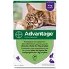Image de ADVANTAGE Anti-Puce pour chat - 4 kg et plus