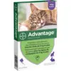 Image de Advantage Chat 4 kg et plus x 4