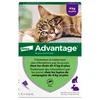 Image de 6 pipettes Ad-vantage 80 pour chat et lapin de plus de 4 kg