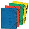 Image de Trieur Easyorga A4 Carton 12 Compartiments Vert
