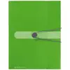 Image de Herlitz, Porte-documents, Boîte de classement easy orga to go, DIN A4, film PP opaque pomme, hauteur de remplissage : 40 mm (A4)