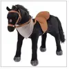 Image de Cheval avec son - Cheval noir Ross