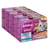 Image de 48x85g Multipack Whiskas Tasty Mix Poisson du jour en sauce - Pâtée pour chat