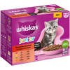 Image de 12x85g Whiskas Junior Sélection classique en sauce - Pâtée pour chat