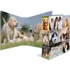 Image de HERMA Classeur à levier à motifs 'Animals', A4, chiens