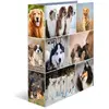 Image de Herma, Classeur, Dossier A4 Motif (A4, 70 mm, 1 pcs)