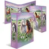 Image de Herma, Classeur, Dossier A4 Motif (A4, 70 mm, 1 pcs)