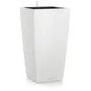 Image de Cubico Color 30 - kit complet, blanc 4 L 56 cm
