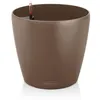Image de Classico Color 43 - kit complet, muscade Ø 43 X 40
