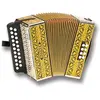 Image de Hohner Accordéon diatonique en sol/do (Accordéon de piano), Accordéon, Noir