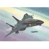 Image de F-14A BLACK TOMCAT