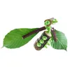 Image de HABA Terra Kids Connectors  Construction Set animaux