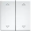 Image de Eltako Bascule double, Bouton + interrupteur, Blanc