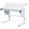 Image de Bureau inclinable mélaminé blanc et pieds métal déco rose et bleu Mollyn